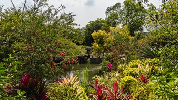 The Chinese style courtyard is enriched by planter beds with colourful, vibrant flora, creating an attractive garden atmosphere.